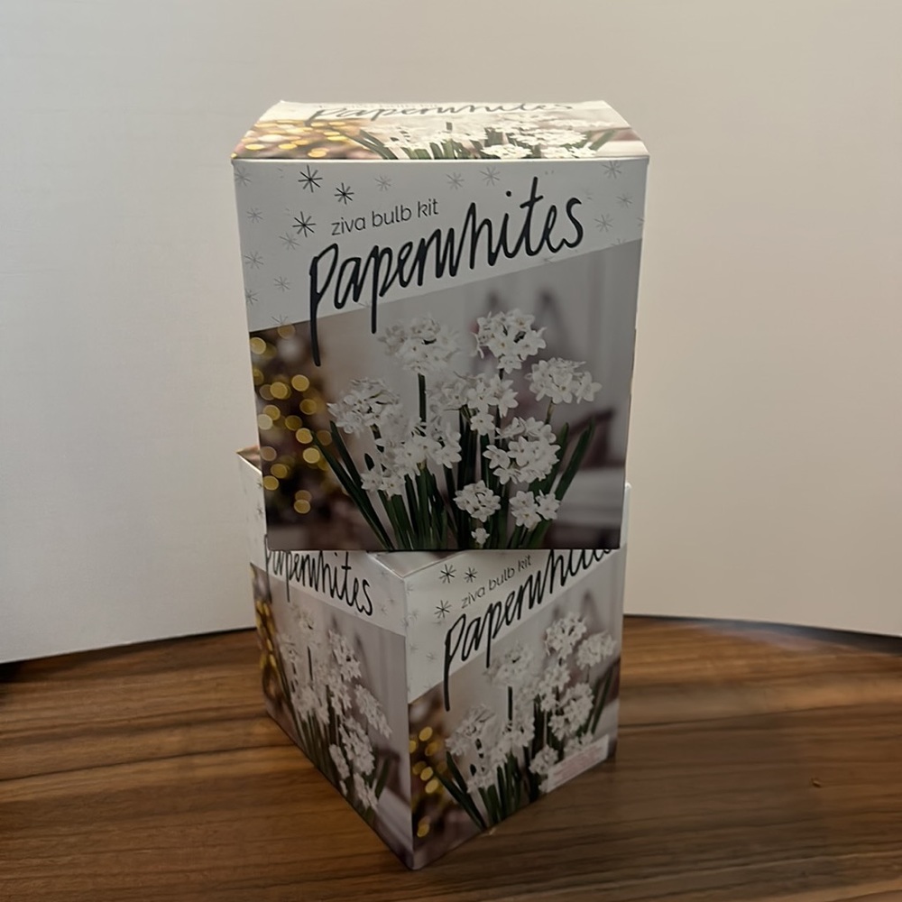 2 Ziva Paperwhites Bulb Kits